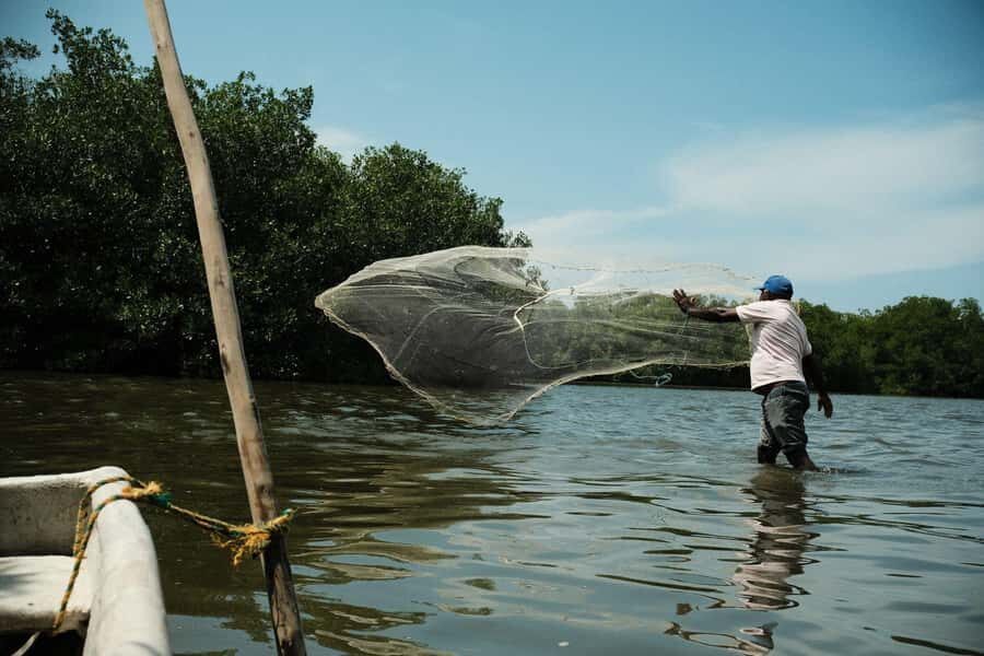 Mangroves, cultural fishing, black heritage town and lunch - Key highlights you’ll actually feel