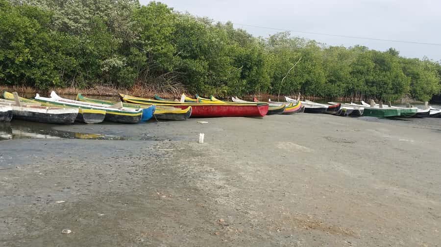 Mangroves, cultural fishing, black heritage town and lunch - La Boquilla walk and village rhythm: culture you can see in motion