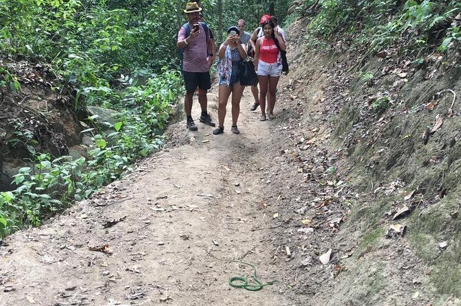 Maravilloso tour Parque Tayrona desde Cartgena, sector Cabo San del Guia - Cabo San Juan del Guía: swimming time plus lunch with real choices
