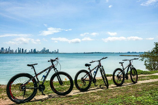 Mountain Biking Through Tierra Bomba’s Untouched Beauty - From Cartagena’s Bay to Tierra Bomba: The Start That Matters