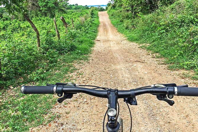 Mountain Biking Through Tierra Bomba’s Untouched Beauty - What the Ride Feels Like: Off-Road Fun With Real Terrain