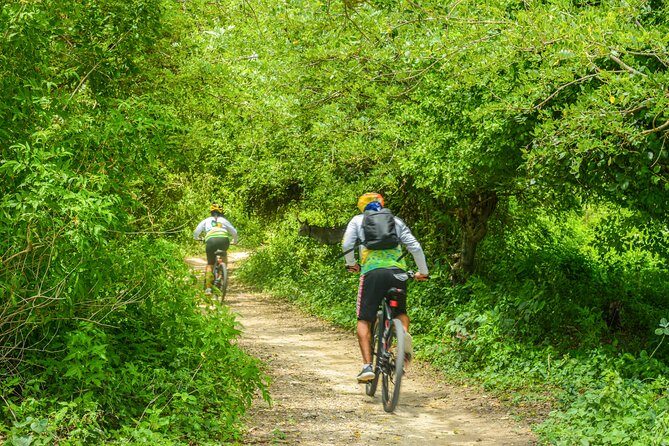 Mountain Biking Through Tierra Bomba’s Untouched Beauty - Food, Snacks, and the Small Comforts That Keep You Going
