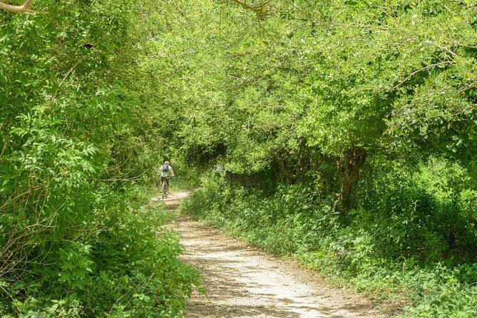 Mountain Biking Through Tierra Bomba’s Untouched Beauty - Price and Value: Why $300 Can Make Sense Here