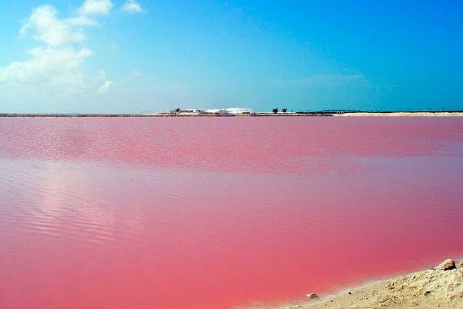 Mud Volcano and Pink Sea with Lunch Included - Playas de la Boquilla Lunch: Beach Views and Real Time to Relax