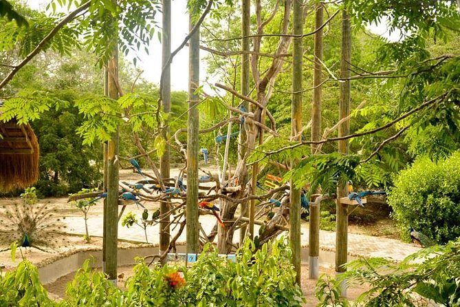 National Aviary private from Cartagena - Price and value: is $267 per person fair?