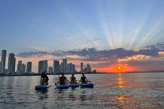 Paddleboard Tour - How the 1-Hour Ride Works From Meet-Up to LED Lights