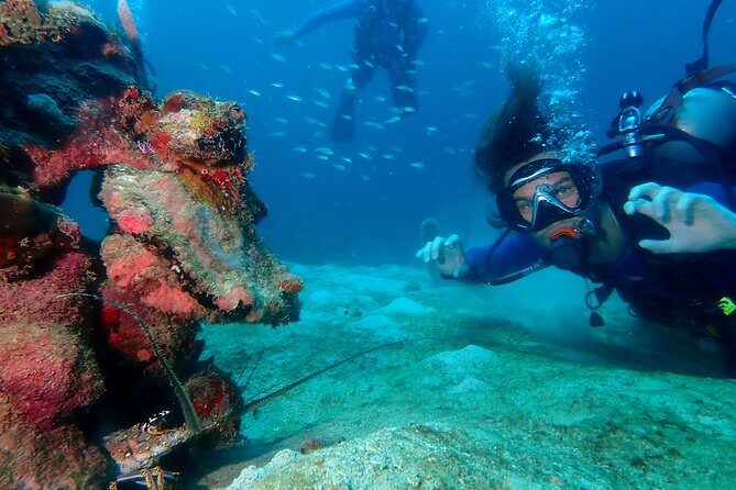 PADI Open Water Diving Course - Key Highlights You’ll Care About