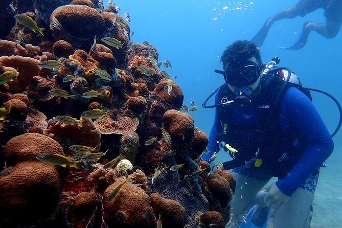 PADI Open Water Diving Course - Who This Course Suits Best (and Who Might Reconsider)