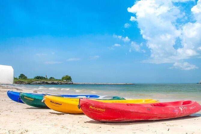 Palmarito Tour with Private Beach, Pools and Full Food - The Caribbean Lunch: Food That’s Part of the Value