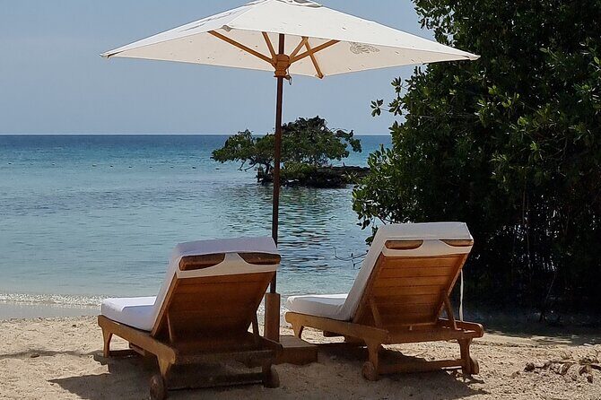 Pao Pao Beach Club Islas del Rosario Full Day Experience - Who should book Pao Pao (and who might want a different style)