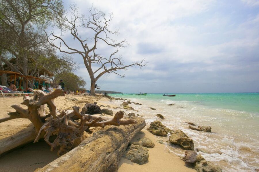 Playa Blanca Full-Day Trip from Cartagena - Lunch that actually helps: typical local dishes, fruit, and bottled water