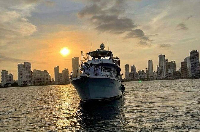Premium Cruise Tour in Cartagena with Sunset and Open Bar - Group Size and Crowd Level: What to Expect Onboard