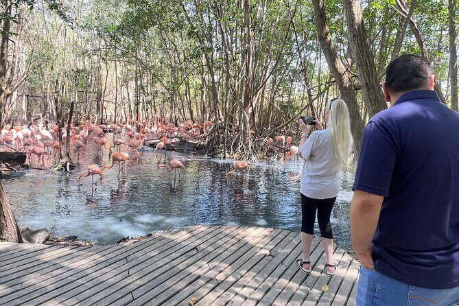 Private and Cultural Experience : National Aviary with Local Guide - Cartagena to Barú: the ride is part of the experience