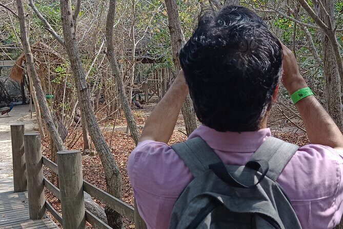 Private and Cultural Experience : National Aviary with Local Guide - Timing: why this feels like a full day, even with one main stop