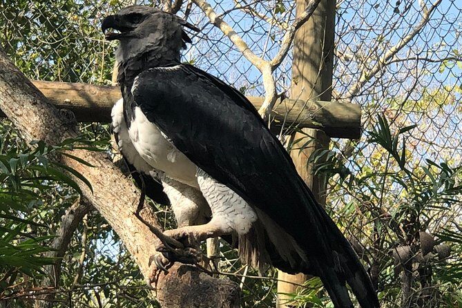Private Baru Aviary Tour with Lunch Included - Value Check: Is $195 Worth It?