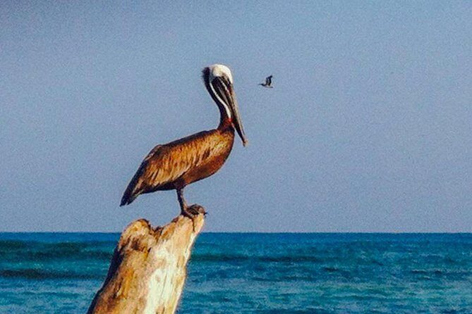 Private Boat to Rosario Islands & Barú - Leaving Cartagena With Forts, Skyline, and the Right Kind of Scenic