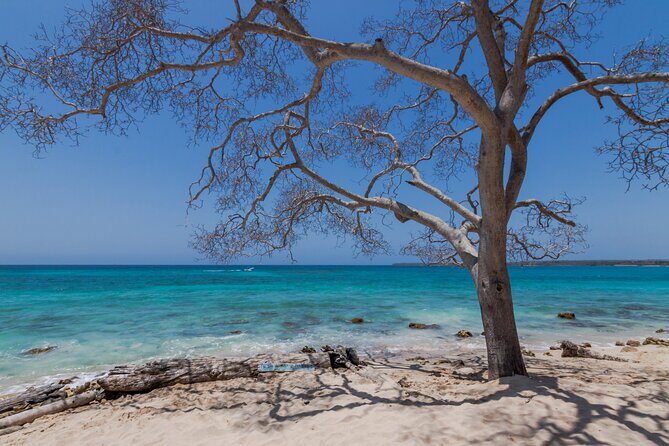 Private Boat Tour of the Rosario Islands - Crew attention, safety habits, and how the day gets customized