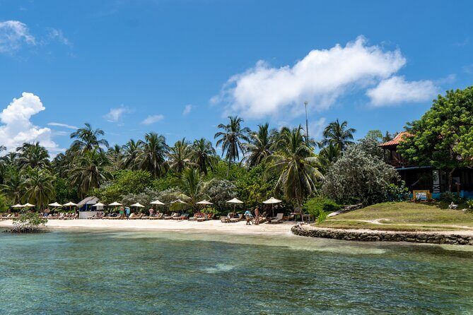 Private Full Day Tour 5 Spots Rosario Islands VIP - Why this 5-Spot Rosario Islands VIP day feels different from a normal tour