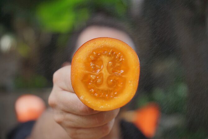 Private Getsemani Family Fruit Experience in Cartagena - Key Highlights You’ll Actually Use