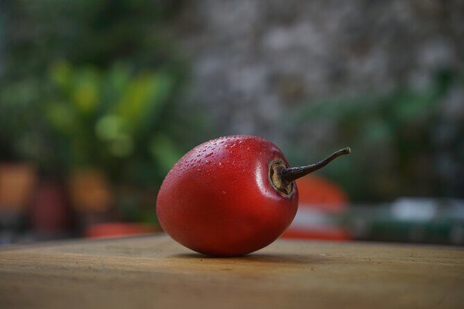 Private Getsemani Family Fruit Experience in Cartagena - Practical Tips Before You Go