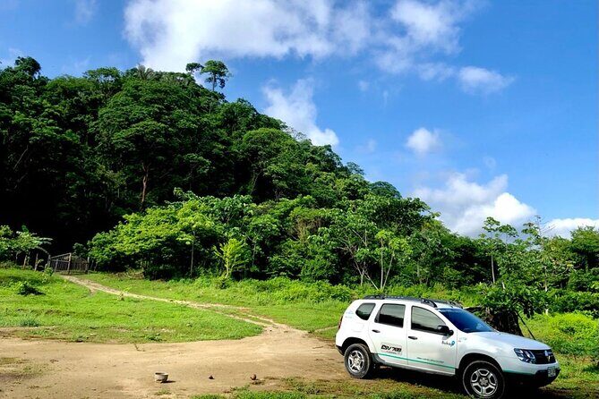 Private shuttle from Cartagena Airport to Santa Marta city - Safety and punctuality: what to expect when you land