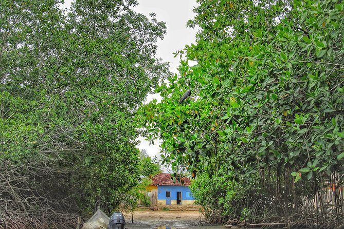 Private Tour of Ecotourism, Culture and Sea in Barú - Why This Private Barú + Rosario Islands Day Feels Personal
