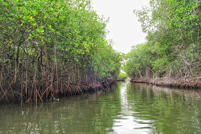 Private Tour of Ecotourism, Culture and Sea in Barú - Extras You Can Add and What to Pack for a Comfortable Day