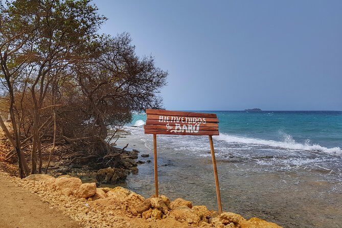 Private Tour of Ecotourism, Culture and Sea in Barú - Playetas Stop: Sea Biodiversity Lessons That Don’t Feel Like a Classroom