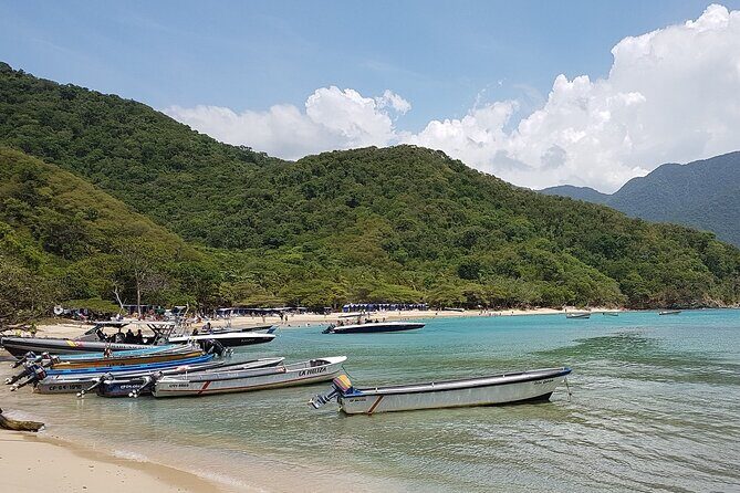 Private transfer from Cartagena to Santa Marta or viceversa - Key Things That Make This Transfer Worth Your Time