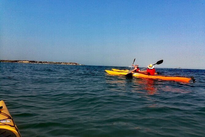 Punta Arena Excursion Kayak - Four Hours on the Water: Paddling Pace and What to Expect