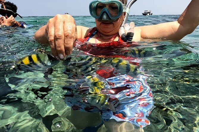 Rosario Islands and Playa Blanca Tour with Snorkeling or Aquarium - Cartagena Bay Speedboat: the ride, the timing, and the wet stuff