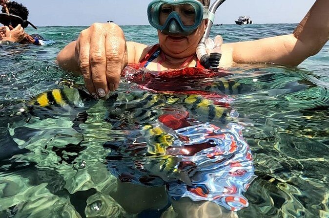 Rosario Islands and Playa Blanca Tour with Snorkeling or Aquarium - Boat ride comfort vs. beach bliss: balancing what you want