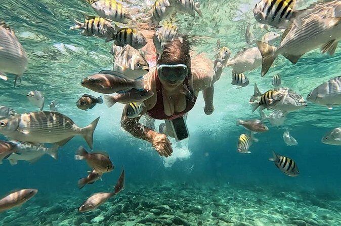 Rosario Islands and Playa Blanca Tour with Snorkeling or Aquarium - Logistics that can trip you up (so you don’t waste time)