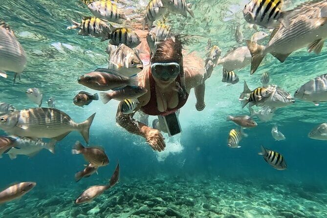 Rosario Islands and Playa Blanca Tour with Snorkeling or Aquarium - Ocean life in the Rosario Islands: snorkeling over corals and tropical fish