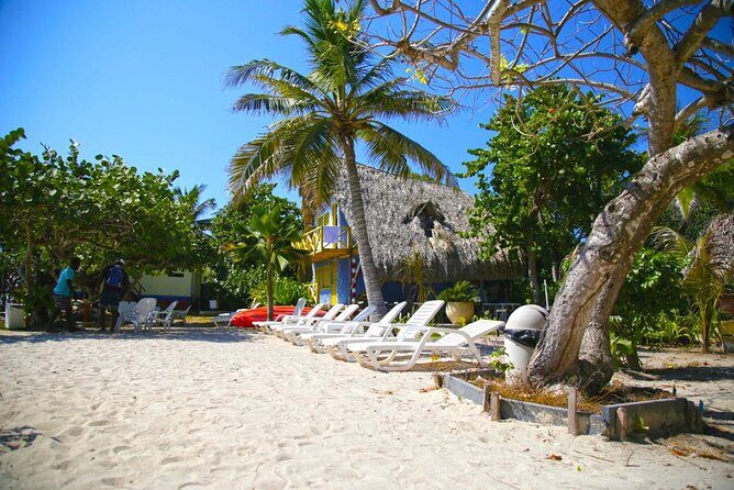 Rosario Islands Day pass | All inclusive Experience - Lunch and welcome cocktail: included food that doesn’t feel like an afterthought