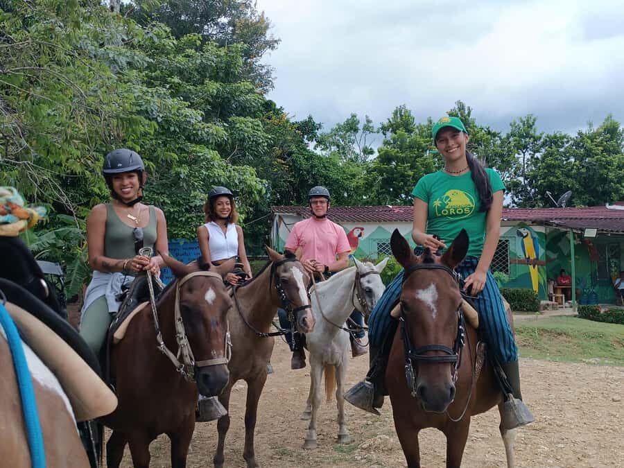 Scenic Horseback Ride in Tropical Mountain Reserve - Key highlights worth caring about