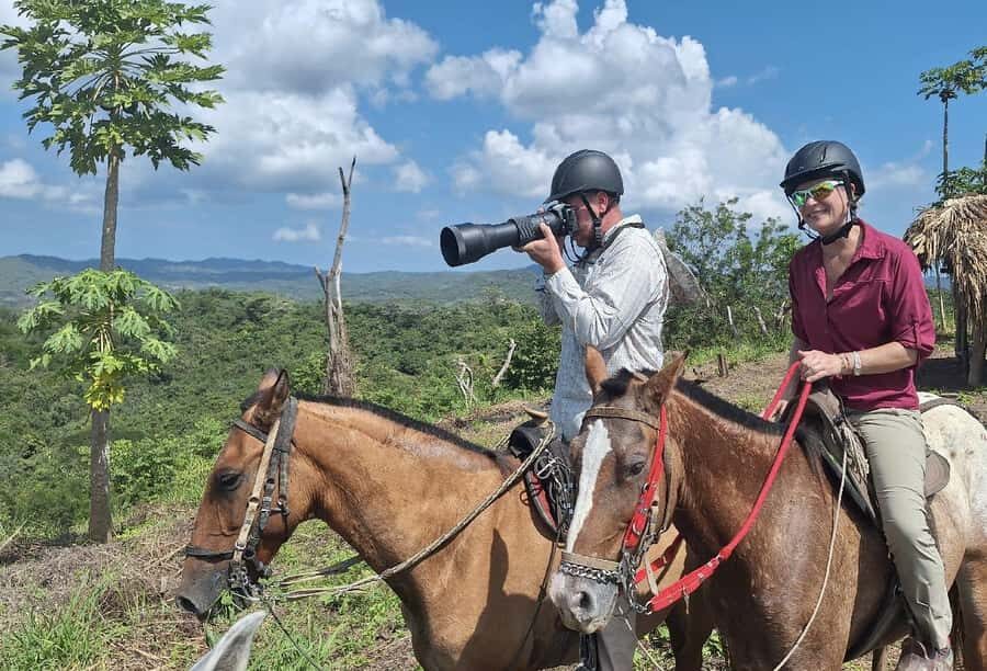 Scenic Horseback Ride in Tropical Mountain Reserve - Parrot and macaw rehab briefing: why this matters more than wildlife watching