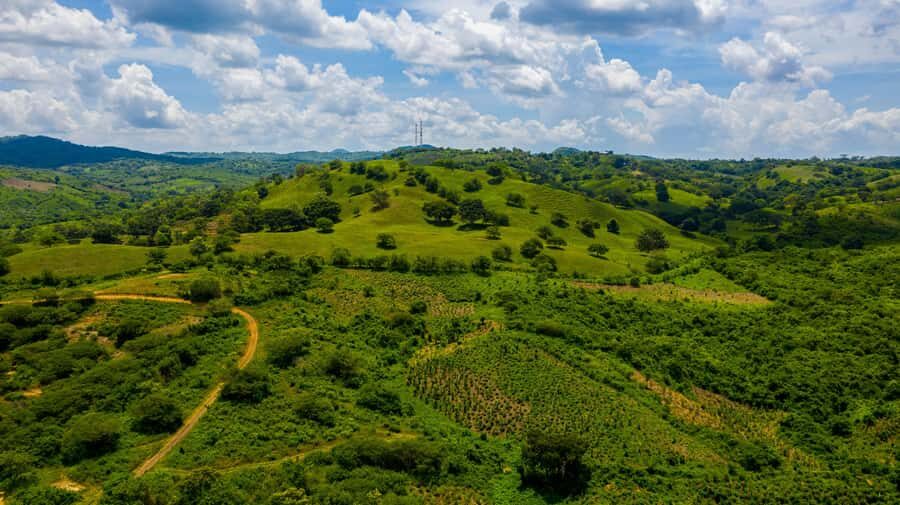Scenic Horseback Ride in Tropical Mountain Reserve - The horseback ride: 15 kilometers, monkeys on the trail, and level-tailored guidance