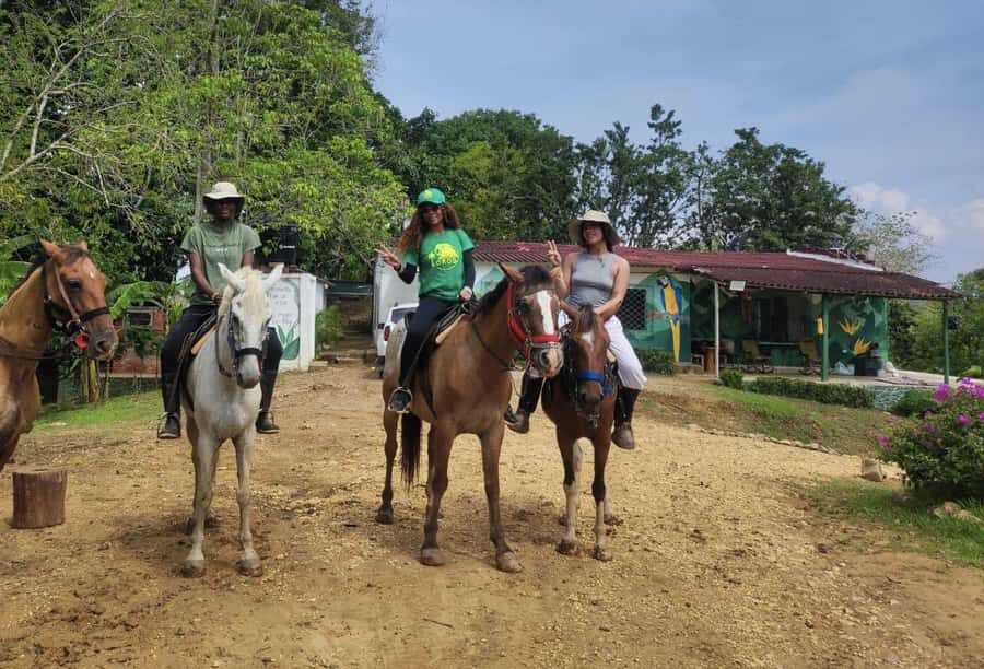 Scenic Horseback Ride in Tropical Mountain Reserve - Price and value: what $169 buys in a real conservation setting