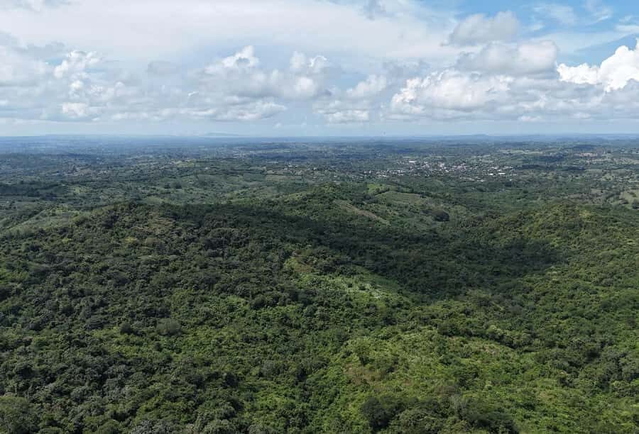 Scenic Horseback Ride in Tropical Mountain Reserve - What to bring, what not to do, and who should skip this ride