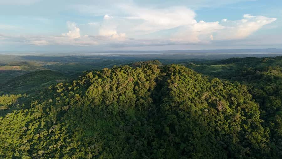 Scenic Horseback Ride in Tropical Mountain Reserve - What the 6-hour flow looks like: breakfast, rehab talk, and reforestation