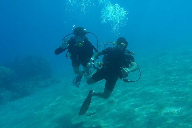 Scuba diving in Rosario Islands - Barú after your session: lunch, seafood, and Caribbean downtime