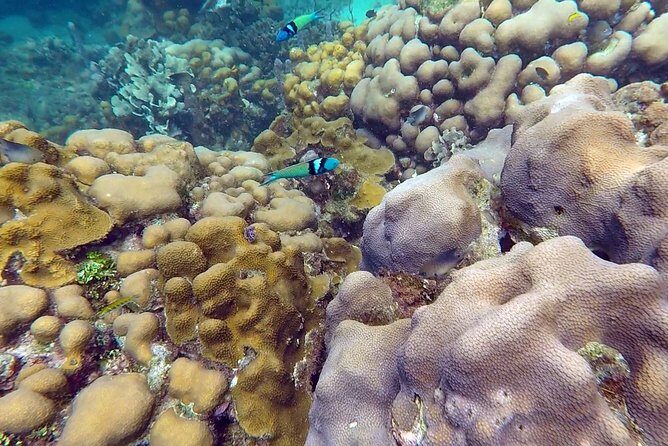 Scuba diving in Rosario Islands - Equipment, instructors, and why max 8 travelers is a smart choice