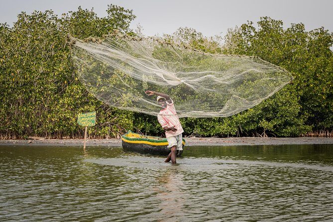 Shore Excursion Mangroves tour - Key things to know before you go