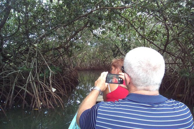 Shore Excursion Mangroves tour - The Guide Factor: Why It Matters More Than You Think