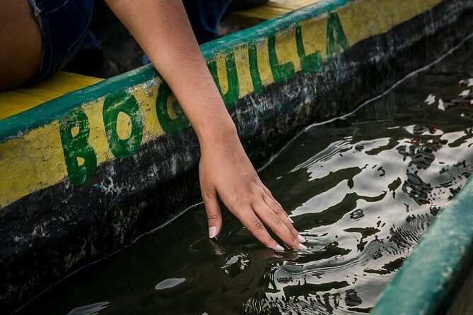 Shore Excursion Mangroves tour - Smart Casual, Moderate Fitness, and a 5-Hour Pace