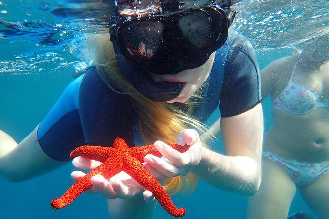 Snorkeling excursion in Isla de Tabarca - Gear provided: comfort is everything