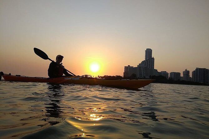 Sunset Cartagena In Kayak - Group Size, Supervision, and Guide Quality You’ll Actually Notice