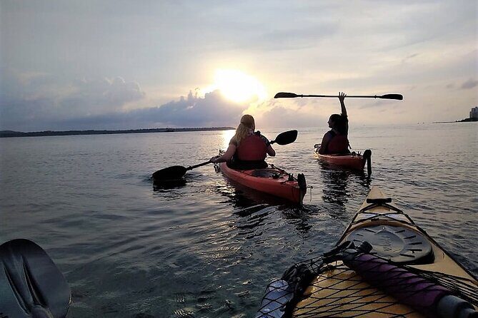 Sunset Cartagena In Kayak - Who Should Book This Kayak Tour (and Who Might Reconsider)
