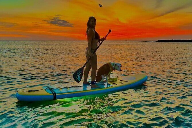 SUNSET GLOW Tour PaddleBoard - The LED Glow Moment: When Neon Water Takes Over